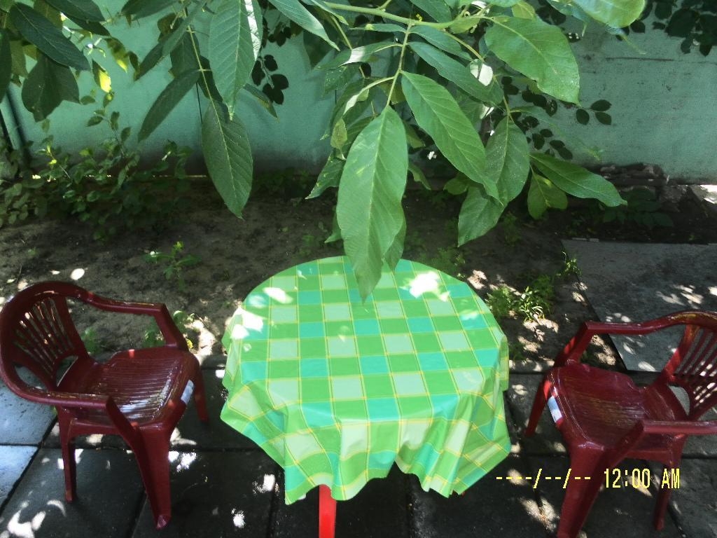 Authentic Dacha Odesa